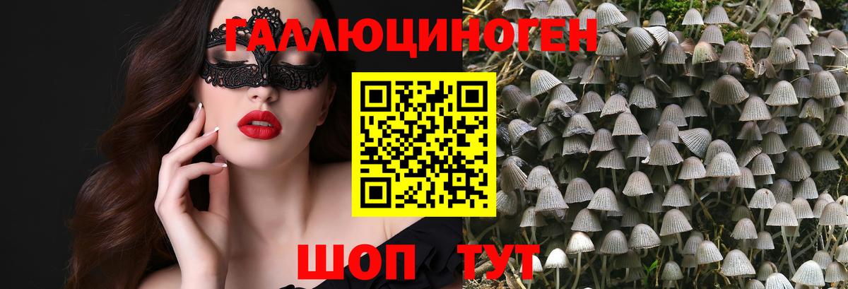 Карпинск  Псилоцибиновые грибы ЛСД  Вход с VPN 